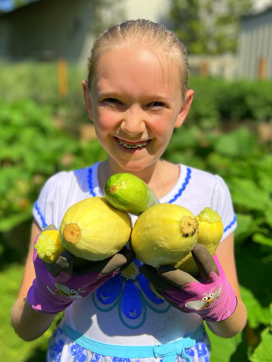KatiesKrops's tweet photo. Over 100 pounds of fresh produce shared with the @ChasCoLibrary Free and Fresh Program today. https://t.co/td771xprqK #freeandfresh #gardening https://t.co/8WUFlrJeie