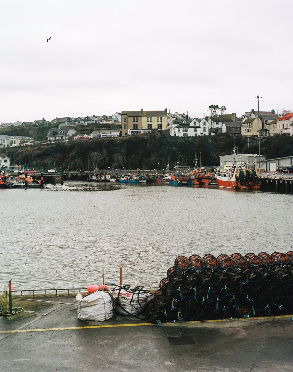marcargentique's tweet photo. @moment Pentax 67 &amp; Portra 160 in Eastern Ireland https://t.co/bgoIB3RzhM