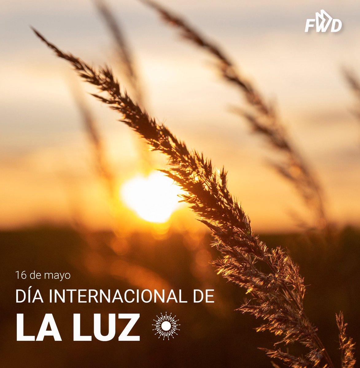 FWD_mx's tweet photo. #DíaInternacionalDeLaLuz l ✨ Es importante que en este día nos centremos en cuidar, valorar y racionar el uso de la luz para que de esta forma pueda llegar a muchas más personas. Ya sea con los medios tecnológicos necesarios, o #iluminando la vida de aquellos que nos rodean. 💕 https://t.co/ghgTdguZX0