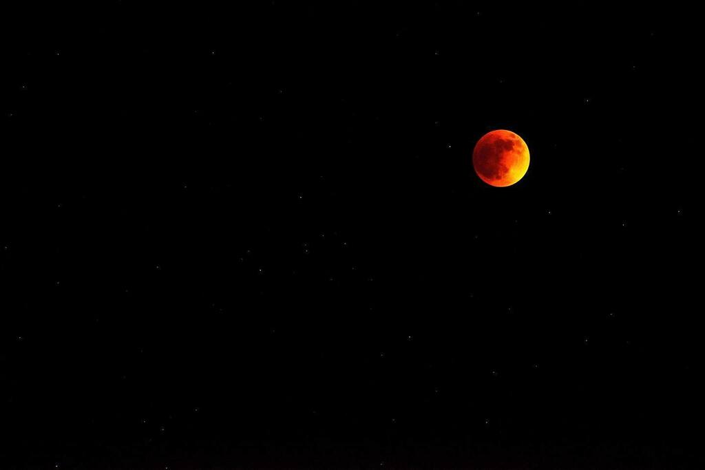 shadowfoxphoto's tweet photo. Lunar Eclipse. 
May 2022
.
.
.
.
.
.
.
.
.
.
#ia #iowa #cedarrapids #cedarrapidsphotographer #aroundiowa #midwestvisuals #nature #319illgrammers #nikon #nikon800e #d800e #300mmf4 #moon #eclipse #shadowfoxphotography https://t.co/p5RBtvbw31 https://t.co/hdUedULJuV