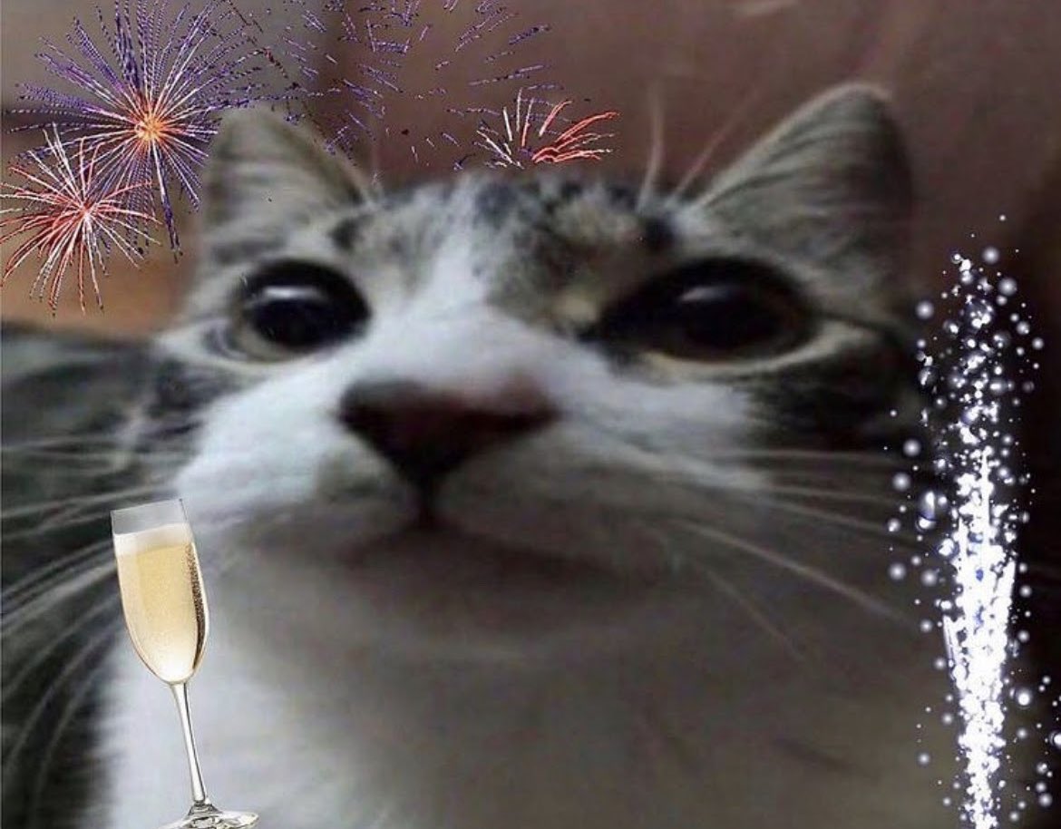 dc11ie's tweet photo. I’d like to personally thank everyone on Twitter for lowering the grade boundaries for us #gcses2022 #gcse2022 https://t.co/XXBnRSkbi5