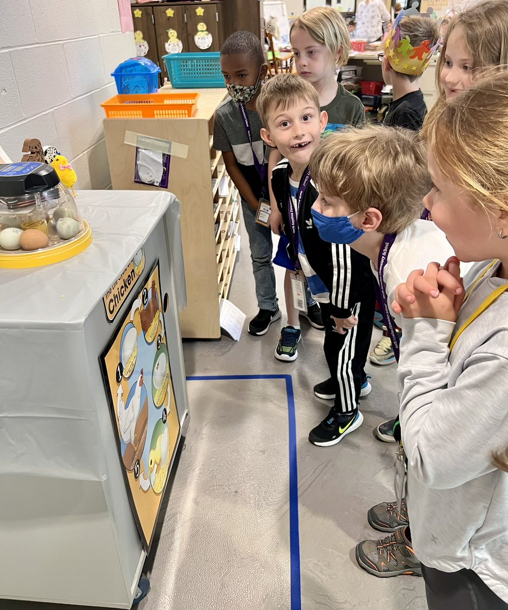 _MissKrause's tweet photo. We have baby chicks in 1st grade! Happy hatching day!🥚🐣🐥@NoRoElem #NRinspiregreat https://t.co/hR4cixbYWO
