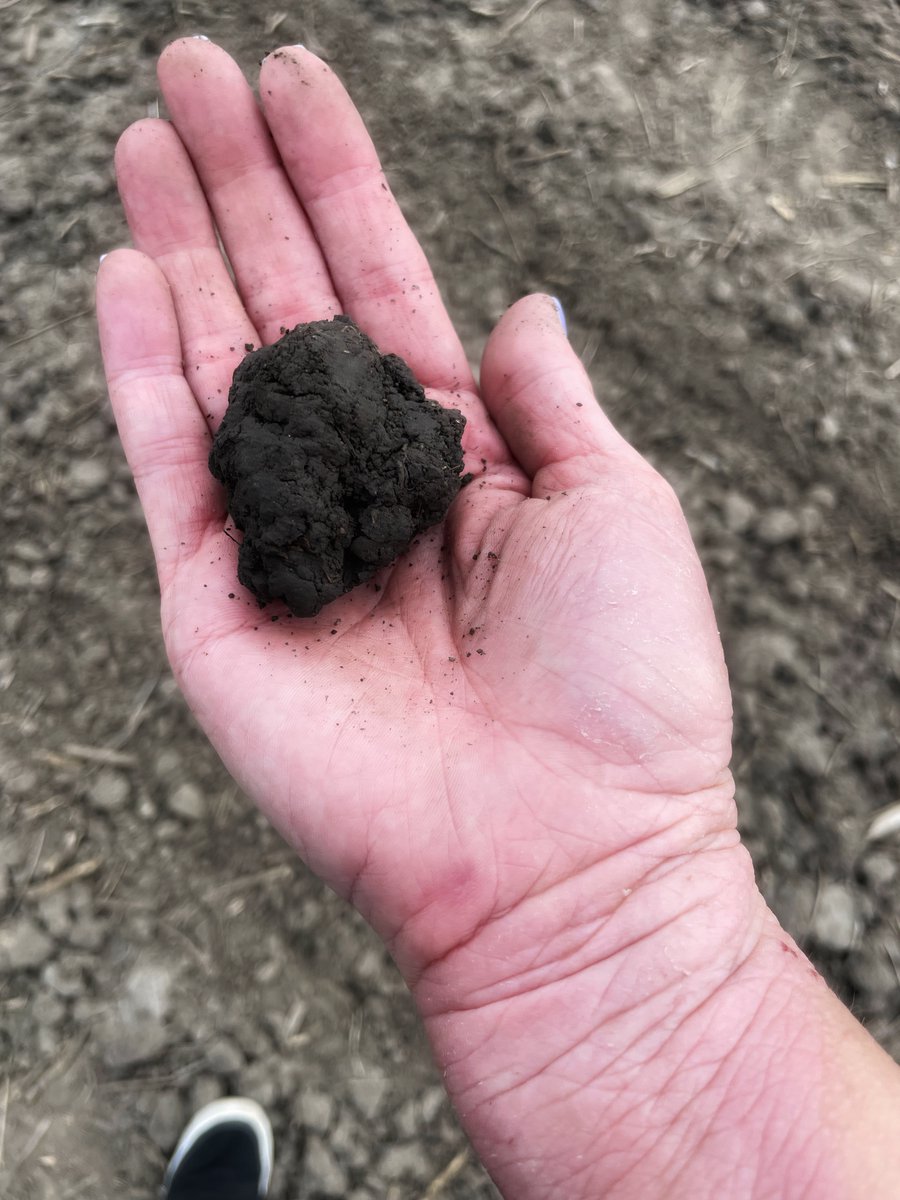 We have been seeing some harder surface-level soils on top of very moist sub-surface soil. What are you seeing in your #NONGMO fields? #Plant22