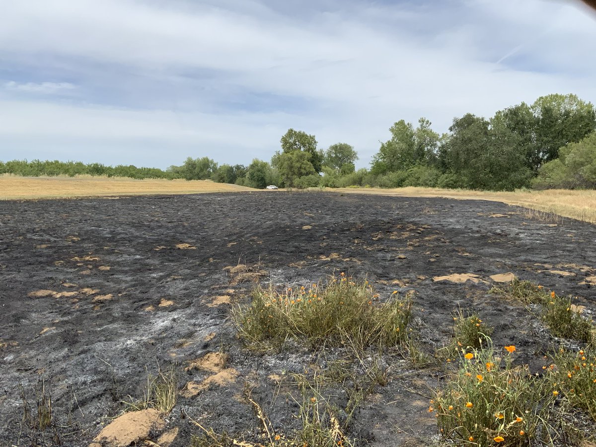 CALFIRE_ButteCo's tweet photo. #StanfordFire (Final) Firefighters have 100% containment on the fire which grew to 1.7 acres. Attached is a picture of the fire and a flyer on Equipment Use Safety, check it out. #BeReadyButte https://t.co/ZOOhqE0bHZ