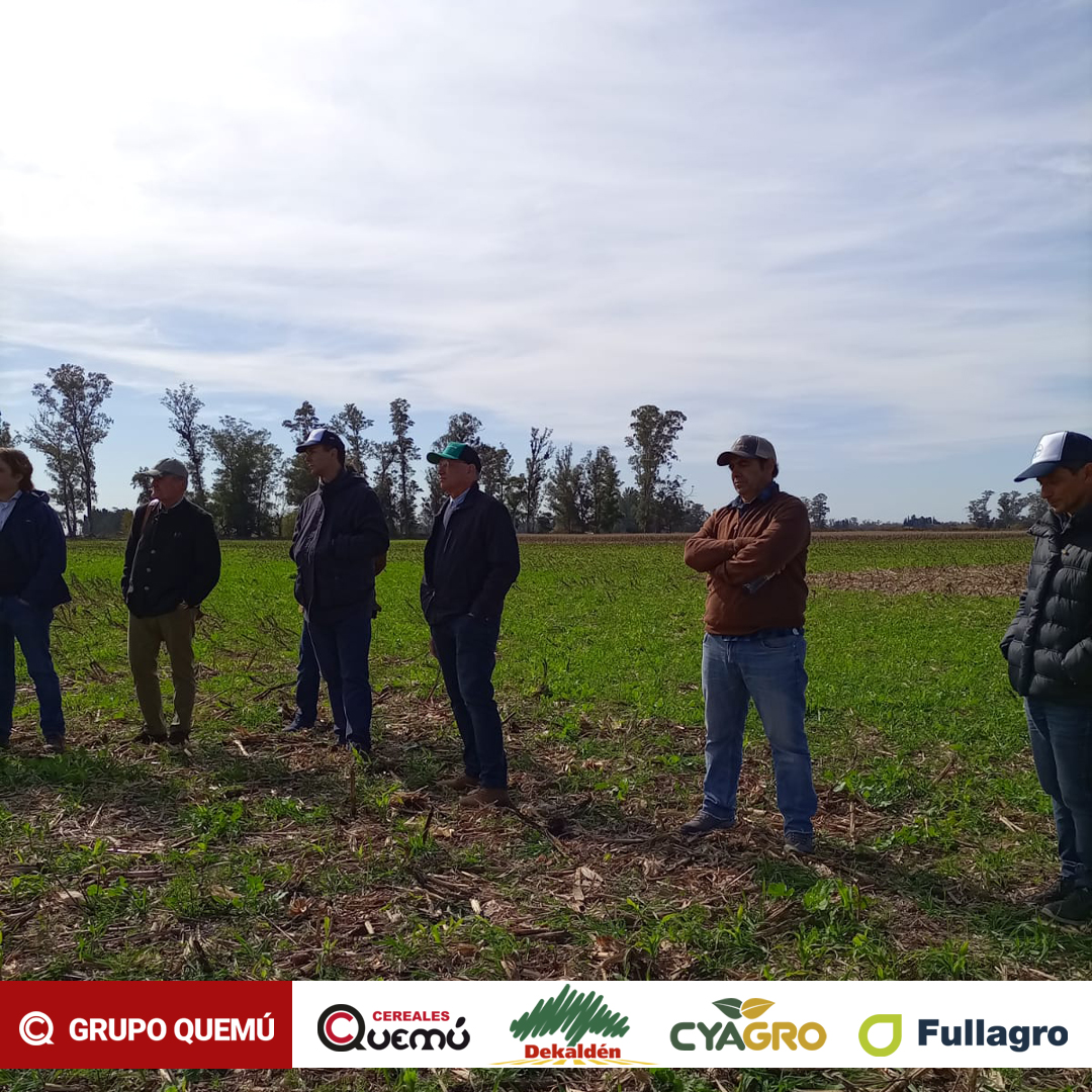 Participamos del evento de #Sustentabilidad en el Bayer Foward Farming, en Pergamino junto a Agrícola Testa.
Riquísimo intercambio sobre el presente y futuro de la agricultura de la mano de prácticas sustentables, digitalización, agricultura de precisión y proyecto de Carbono.