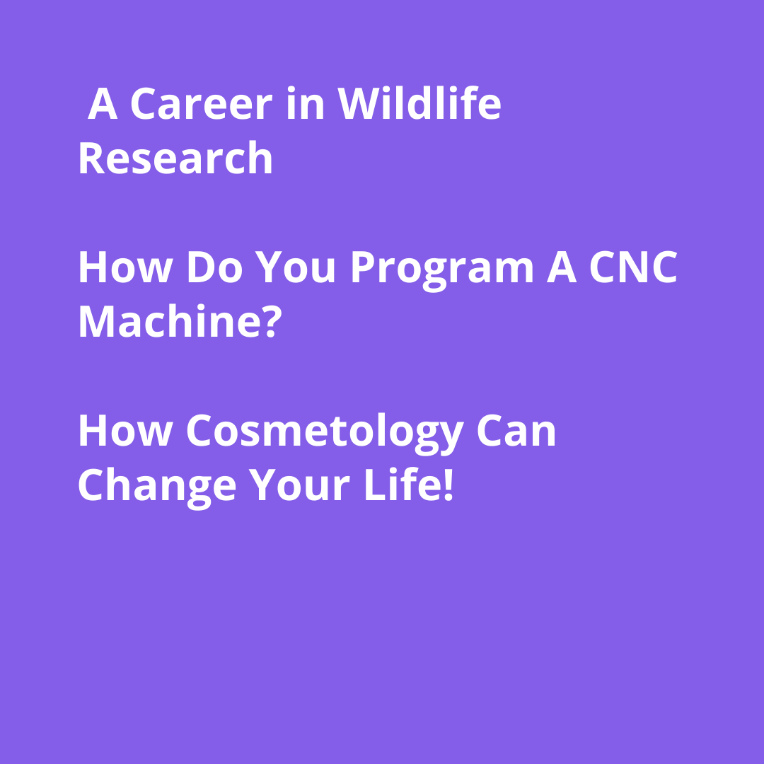 Get involved in STEM Week! 💡

Join one of these exciting sessions here: ow.ly/RbV950J9yte