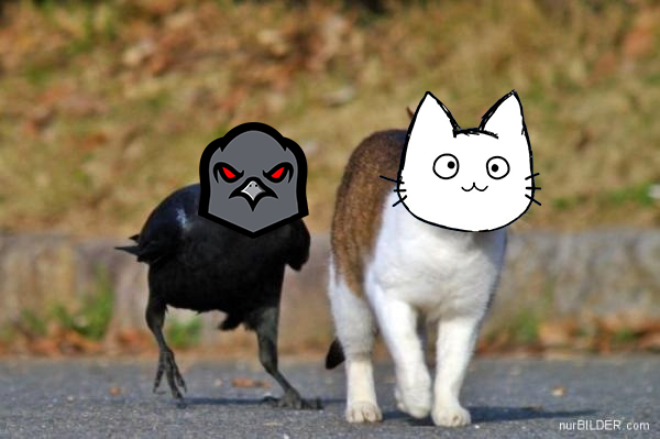 Crypto Cats tweet media