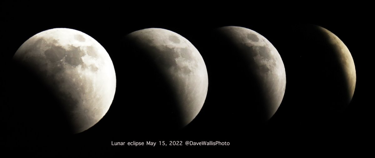 #lunareclipse2022 from #Fargo #ND I was too tired/lazy to record the entire phases of the eclipse of the moon Monday night but here's half of it. #canonphotography #300mm2.8 with 1.4x #moon #cheese #cowjumpedover