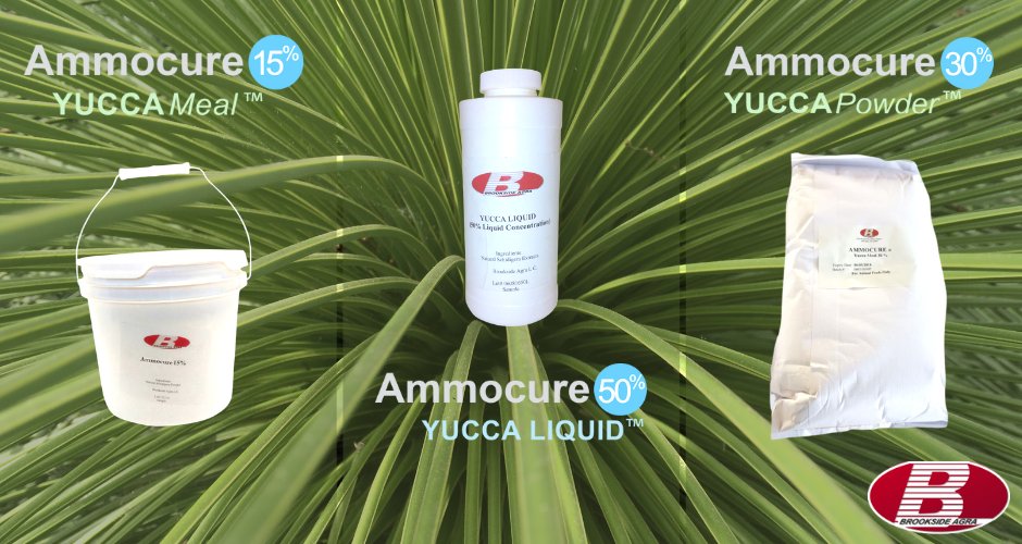 brookside_agra's tweet photo. To control ammonia, offensive gasses and waste volume in animal housing, Brookside Agra recommends using its all-natural Ammocure specialty feed additive. Proven to reduce ammonia levels by up to 50 percent or more when added to feeds.
Learn more - https://t.co/IDF4a7PIwT https://t.co/9UcXGVgkKV
