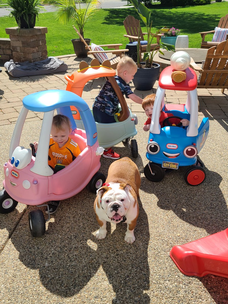 Traffic jam with these knuckleheads.  🥰
