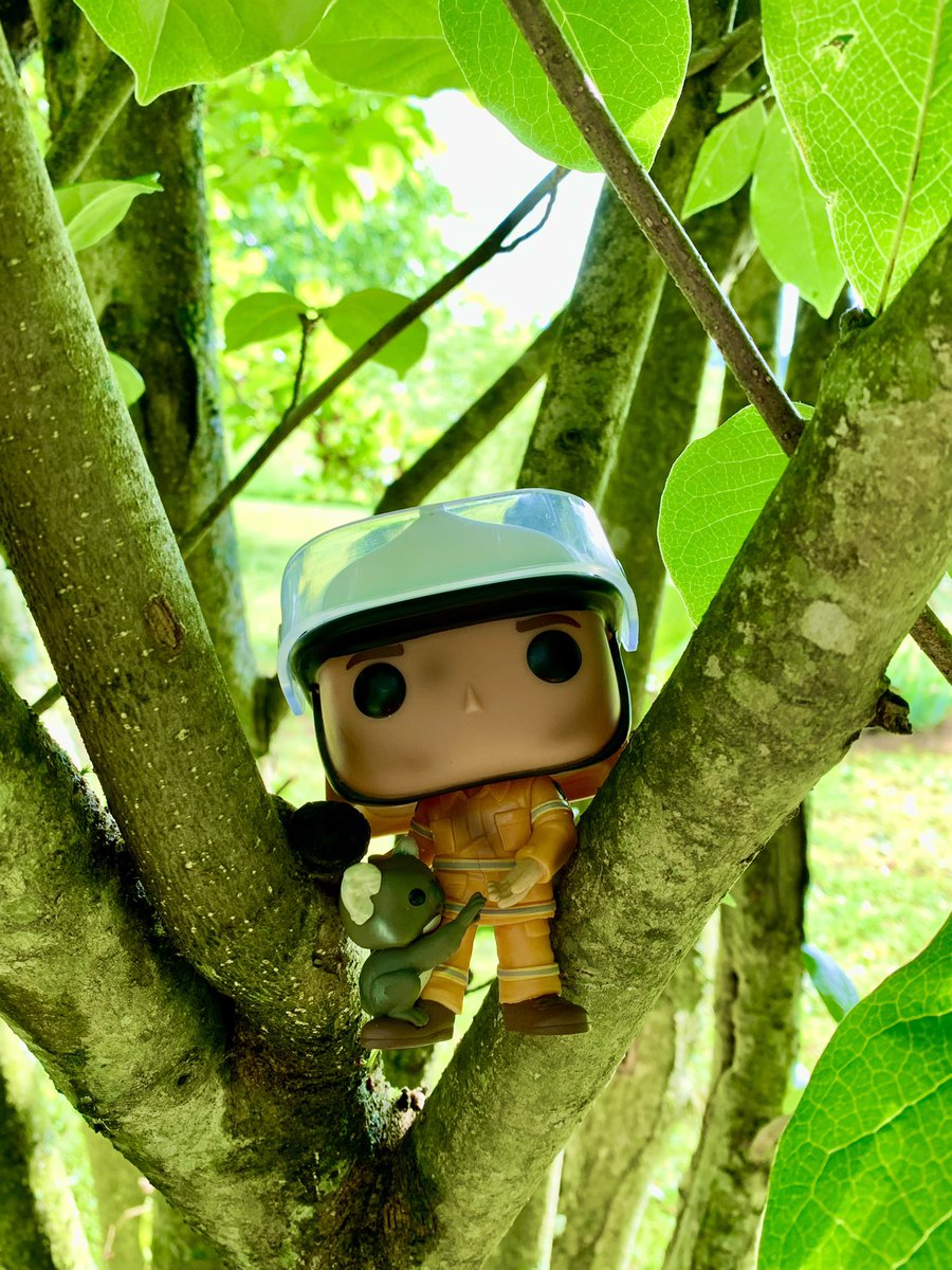 Day 1 of the Twitter May 2022 #FunkoPhotoADayChallenge @OriginalFunko 
#loveatreeday 
#wildfires #forestfires #savetheforest #trees #savetheplanet #savetheearth #treesrock #ilovetrees #treesarelife