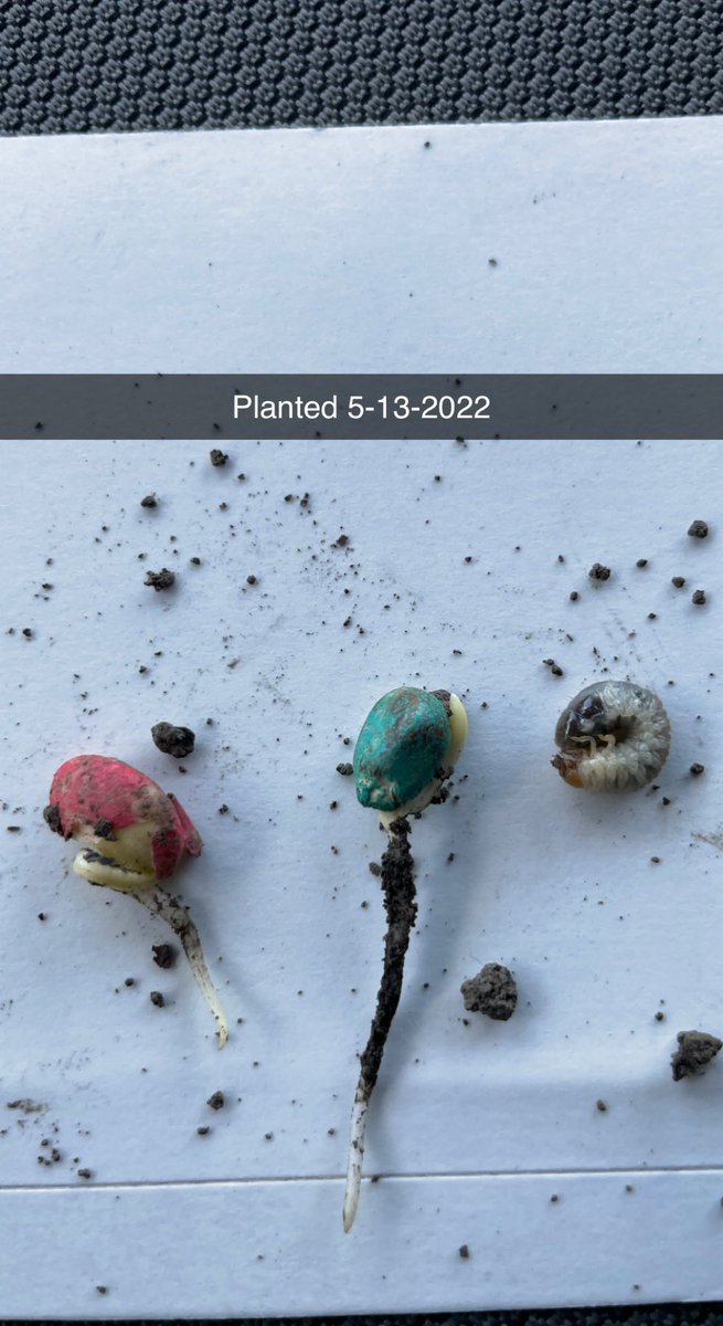 Allen Wiseman tweet media