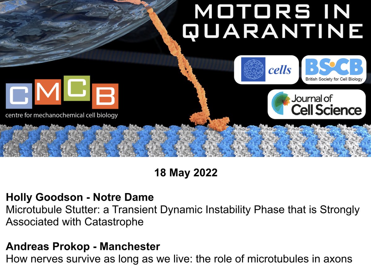 Anne Straube (@annestraube) on Twitter photo This week #MotorsInQuarantine presents microtubule tales from <a href="/HVGoodson/">Holly V. Goodson</a> and @Poppi62. Join us on Wednesday to hear how stutters during microtubule assembly can lead to catastrophe and how microtubules support ageing neurons. mechanochemistry.org/whatson/MiQ/ This week #MotorsInQuarantine presents microtubule tales from <a href="/HVGoodson/">Holly V. Goodson</a> and @Poppi62. Join us on Wednesday to hear how stutters during microtubule assembly can lead to catastrophe and how microtubules support ageing neurons. mechanochemistry.org/whatson/MiQ/