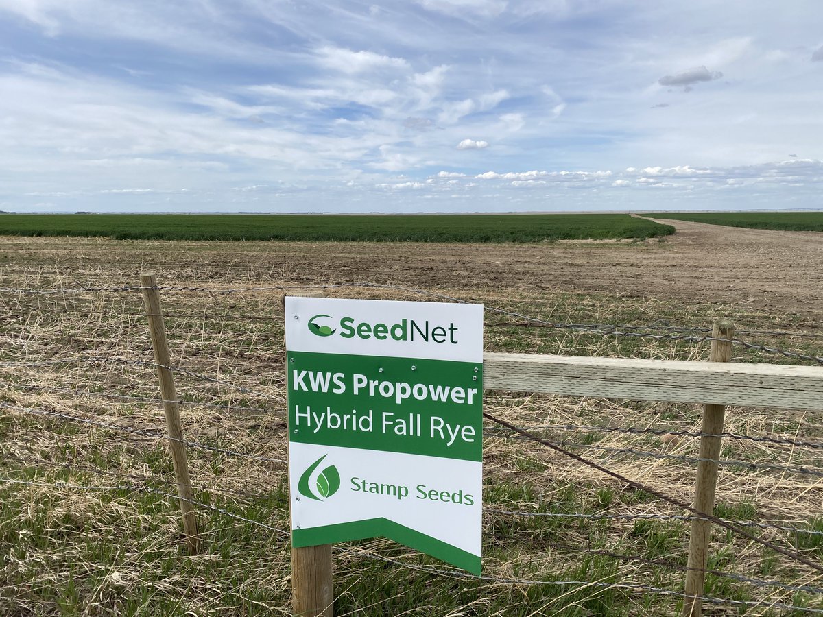 Stamp Seeds 🌱 tweet media