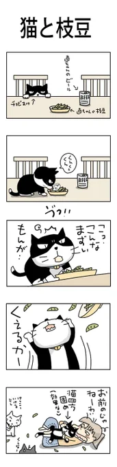 猫と枝豆#こんなん描いてます #自作まんが #漫画 #猫まんが #4コママンガ #NEKO3 