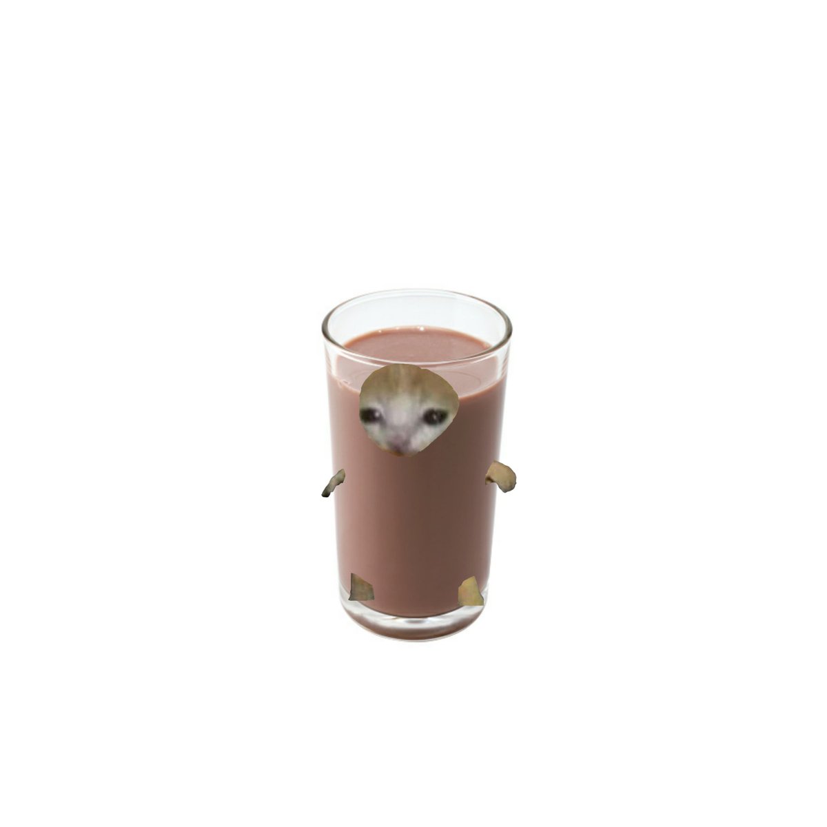 cattoeverywhere's tweet photo. Choccy milk-Catto https://t.co/vyOXCyTDKJ