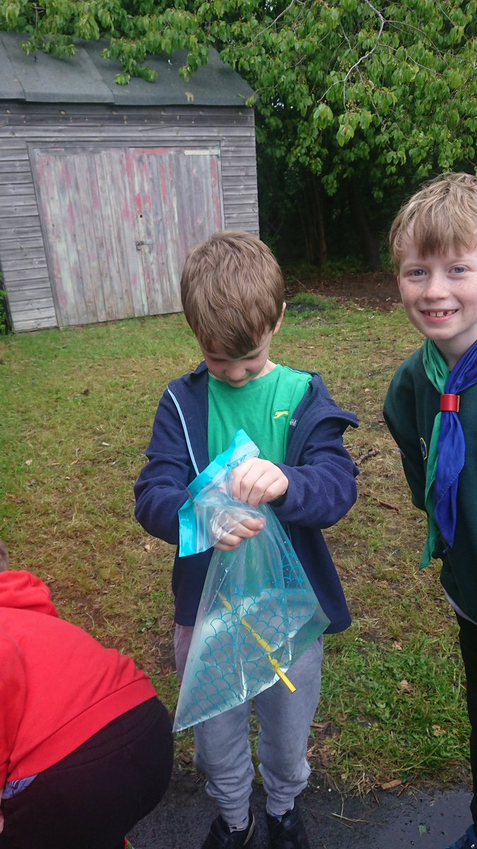 Longniddry Scouts tweet media