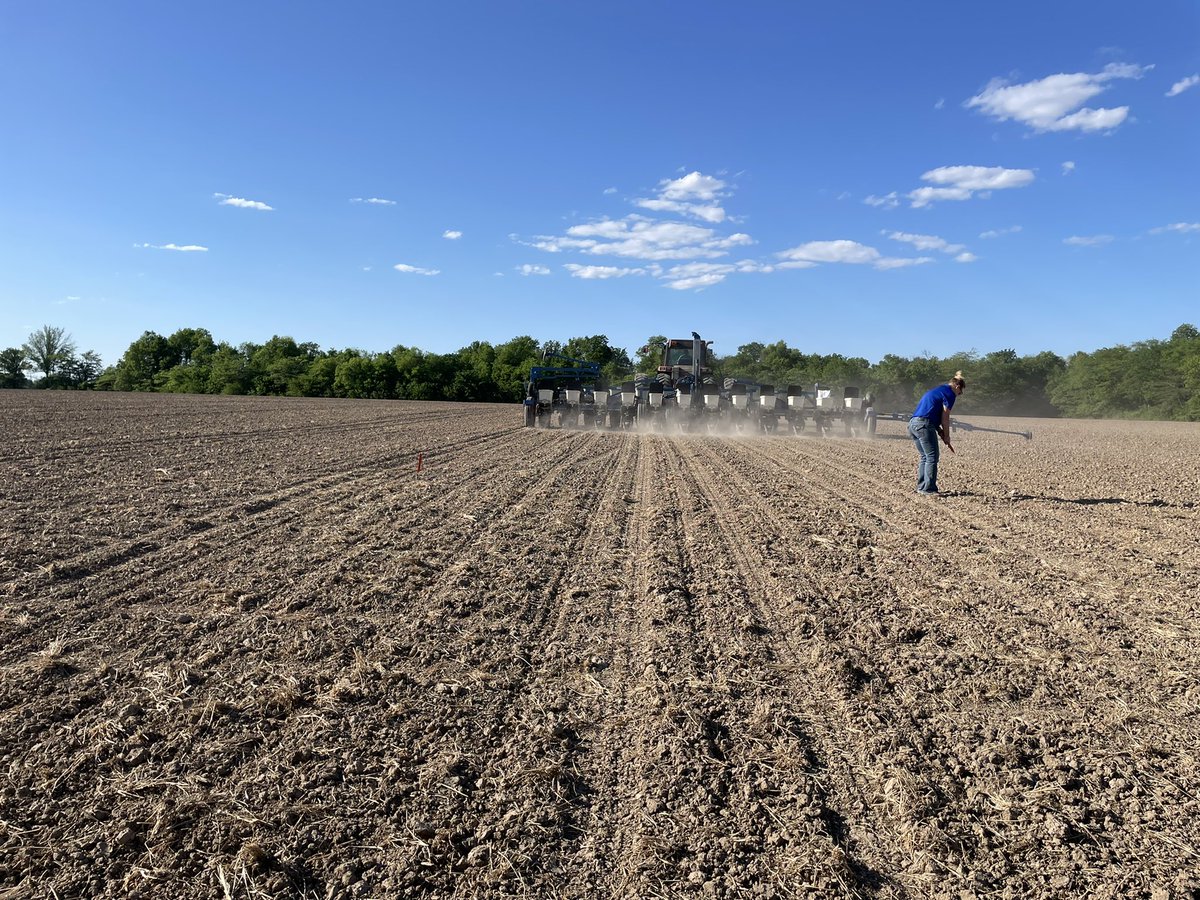 KalynneFitz's tweet photo. Beautiful evening to put a plot in! #nkseeds #plantnk22 https://t.co/nxPfkji1rW