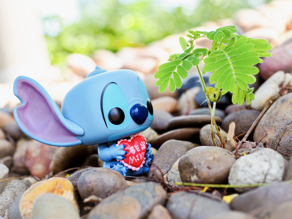 peariiezz's tweet photo. Plant A Hope 🪴@OriginalFunko 

#FunkoPhotoADayChallenge 
The theme for today is #LoveATreeDay

#May #Funko #FunkoPop
#FunkoStitch #FunkoPopStitch
#FFTHPhotoADay
#FunkoFunaticTH #FunkoCollector
#Stitch https://t.co/zsI2ucJUTC