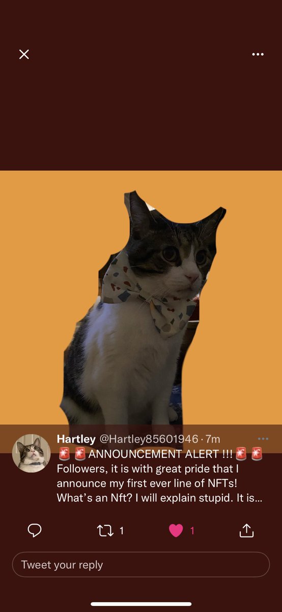 emma_username69's tweet photo. @Hartley85601946 https://t.co/OGsFZFKQXA