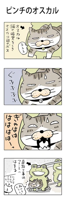 ピンチのオスカル#こんなん描いてます #自作まんが #漫画 #猫まんが #4コママンガ #NEKO3 