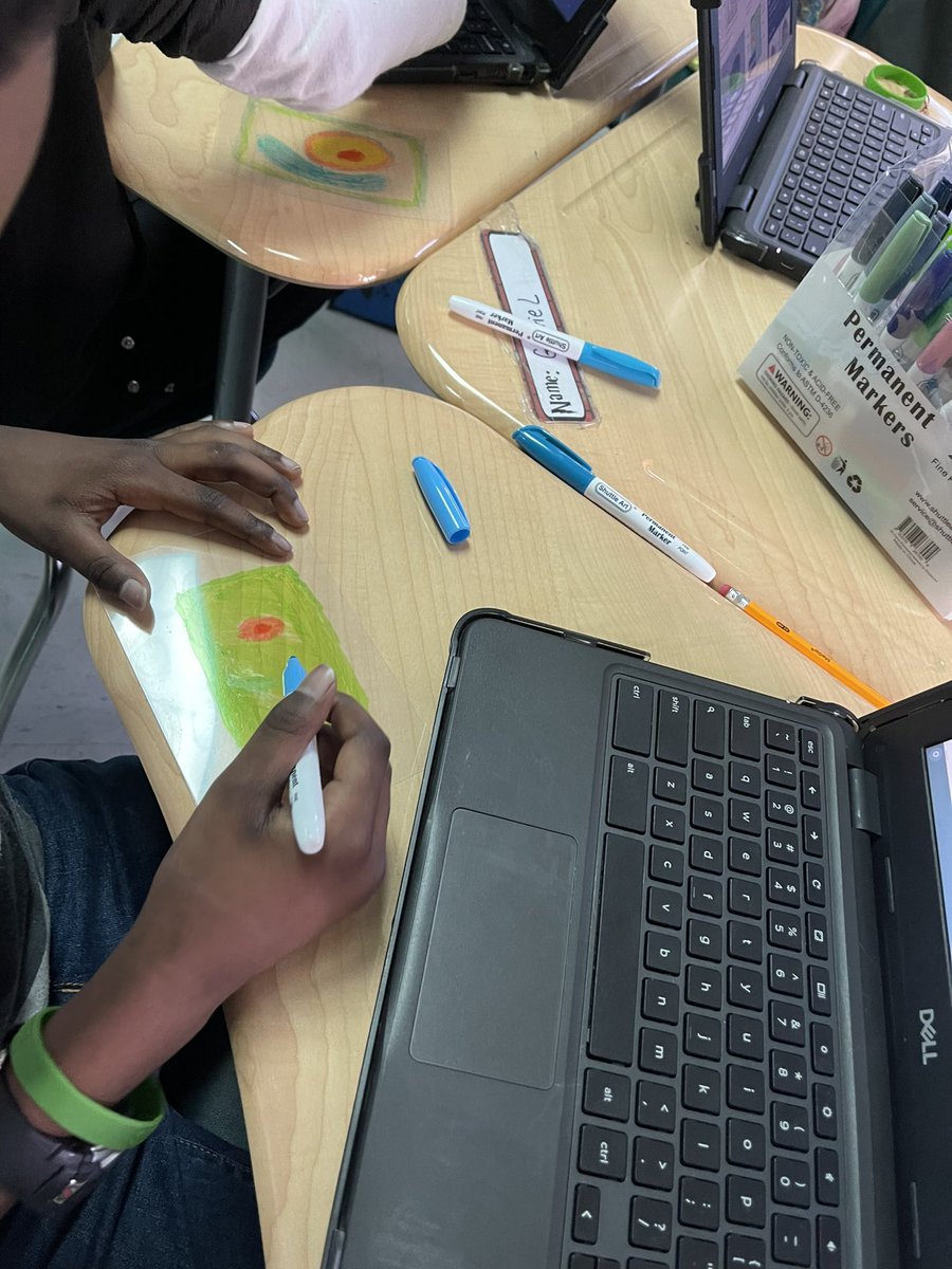 STEAMteacher757's tweet photo. Need a cell review?? Make key chains. #SOLreview #STEM https://t.co/c4Sfb4w18V