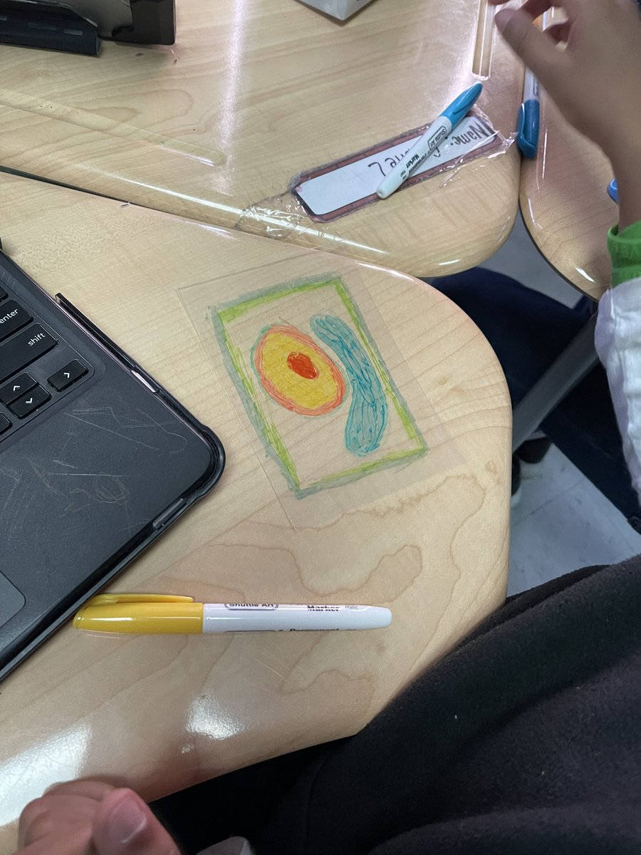 STEAMteacher757's tweet photo. Need a cell review?? Make key chains. #SOLreview #STEM https://t.co/c4Sfb4w18V