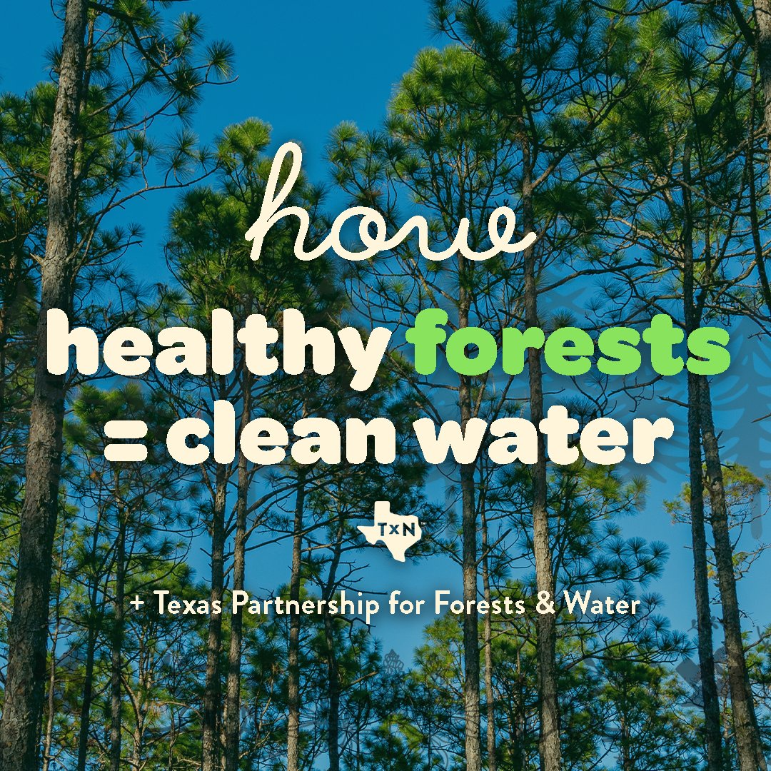 TexanbyNature's tweet photo. Our #ConservationWrangler @TXForestService  wants you to know: clean water sources start with healthy forests!🌳 On #NationalLoveATreeDay let's help spread the word about this crucial relationship between Texans, forests &amp; water! Learn more: https://t.co/ypHBP38y5v https://t.co/8pboI9Tc4B