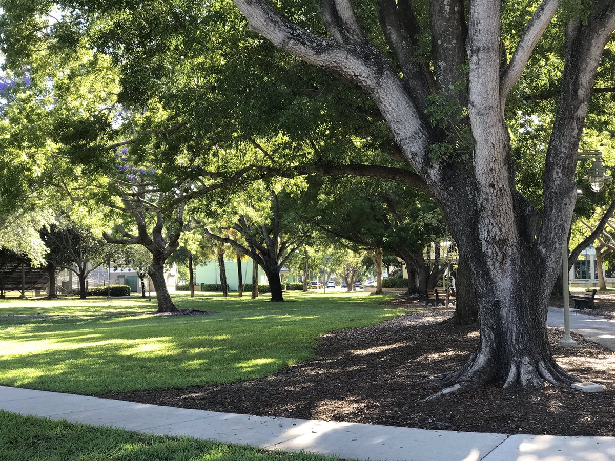 YarnsWool's tweet photo. Cambier Park en el centro de la ciudad. Hermoso y tranquilo. Tiene un club con varias canchas de tenis y en una de las esquinas se encuentra el edificio de Naples Art. https://t.co/X63A6ajMCv