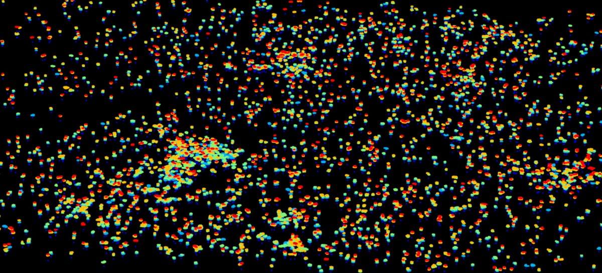 MitchRudge's tweet photo. Savanna woodland stem pattern - collected with drone-based LiDAR, processed with #lidR and #treeLS, displayed in #CloudCompare https://t.co/EU8uiAO3oX