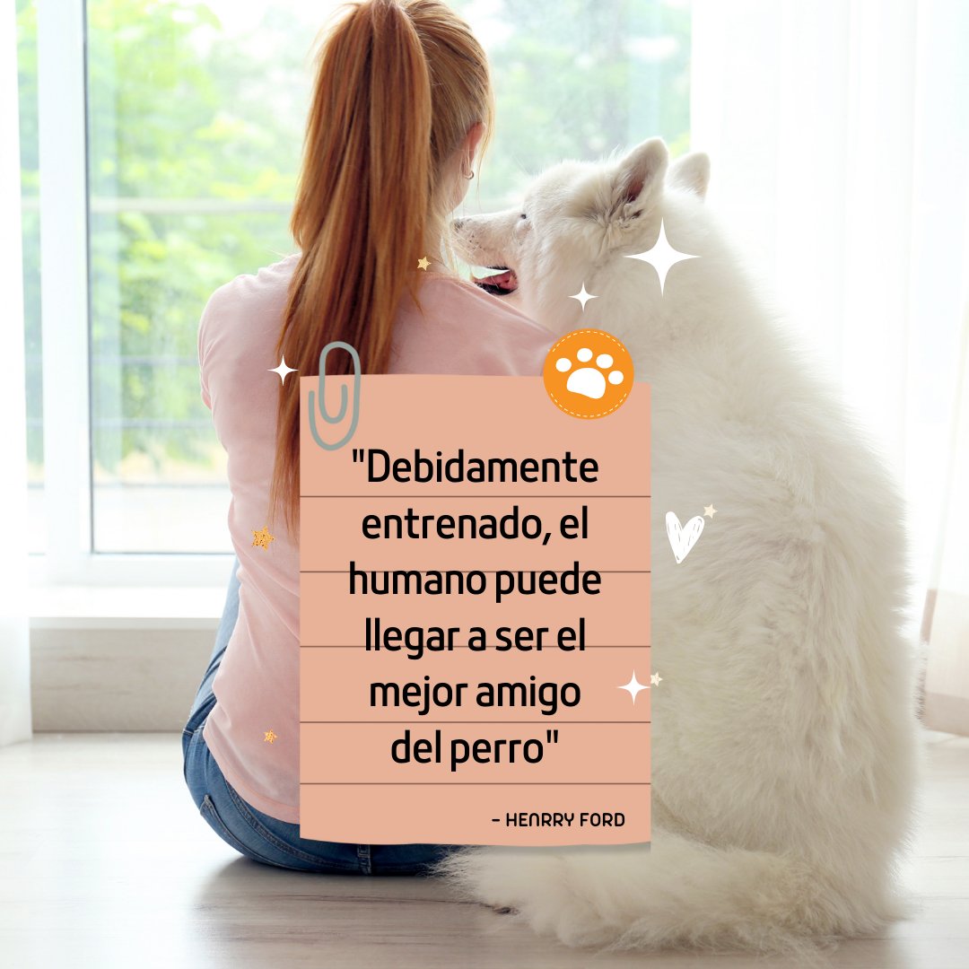 Debidamente entrenado, el humano puede llegar a ser el mejor amigo del perro. _ Henrry Ford. 
#frasesPetlovers
