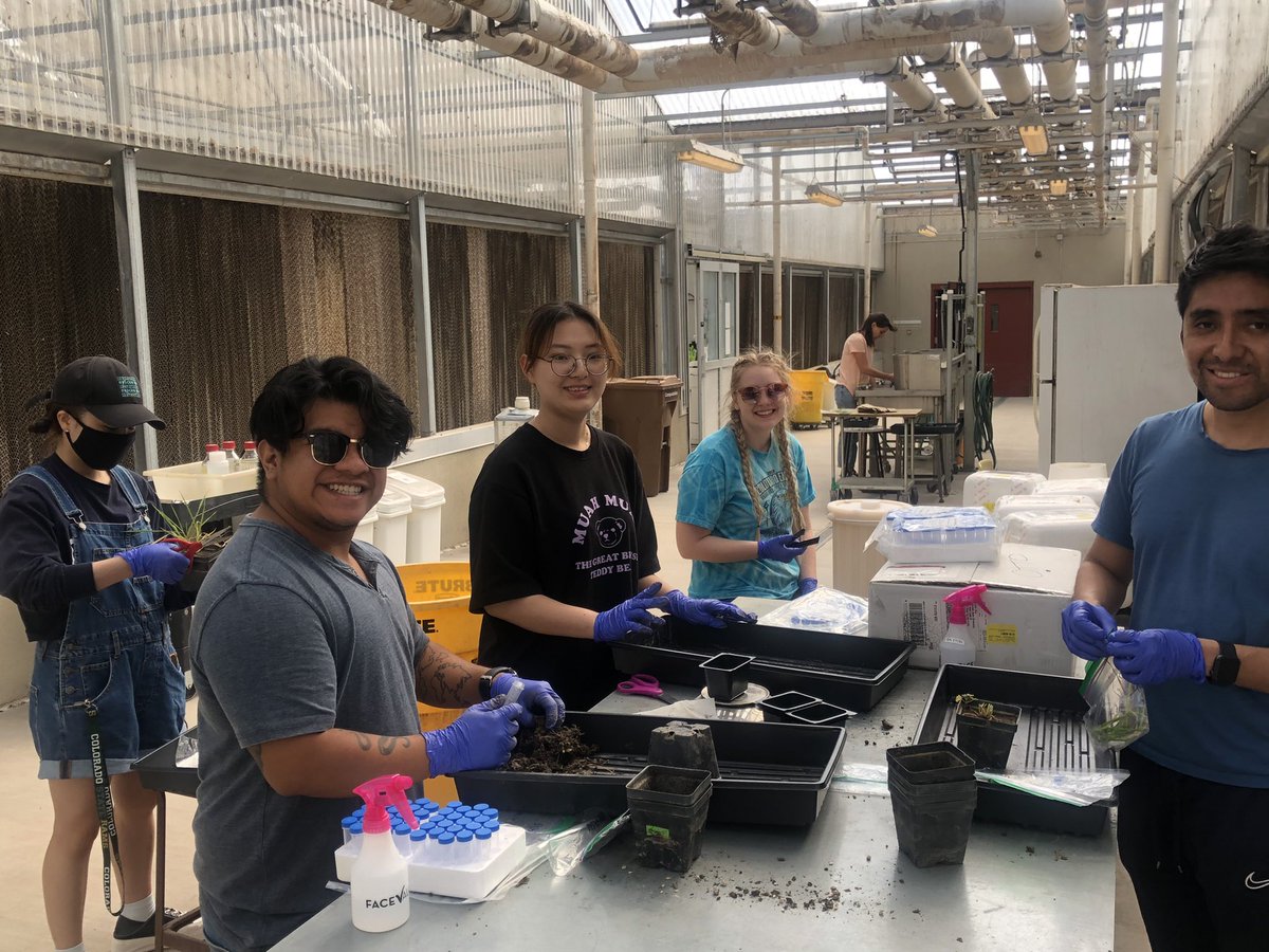 PANKAJ TRIVEDI tweet media