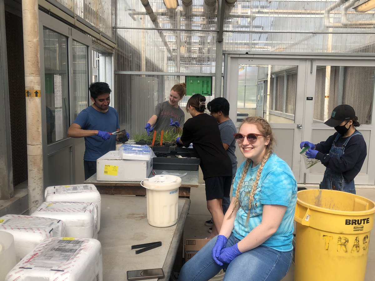 PANKAJ TRIVEDI tweet media