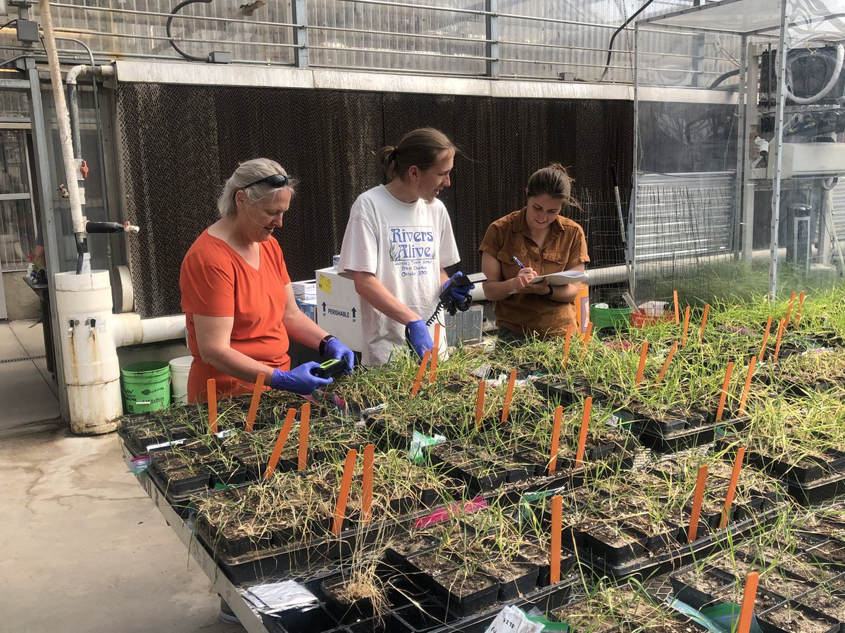 PANKAJ TRIVEDI tweet media