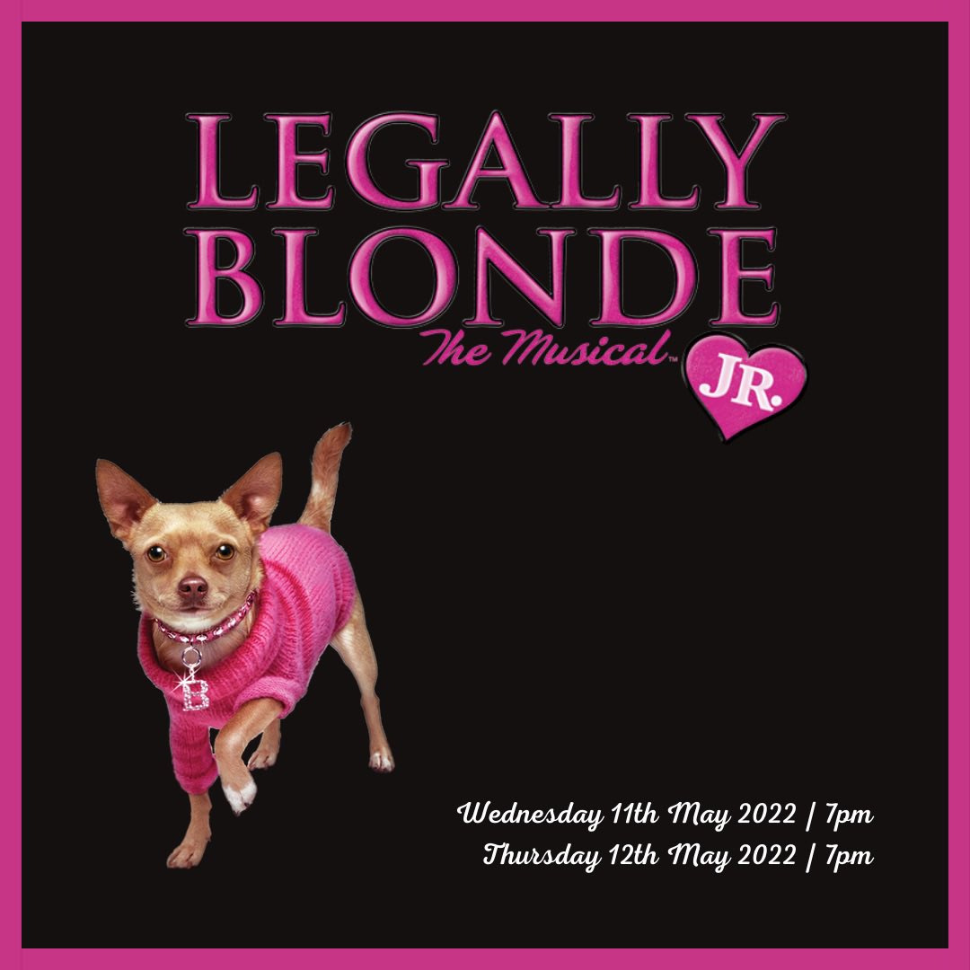 Forge_Theatre's tweet photo. Congratulations to our Year 1 &amp; 2 Musical Theatre cast for their incredible performance of ‘Legally Blonde’ 💅🐕👩‍🎓

#legallyblonde #forgetheatre #musicaltheatretraining #performingarts #nescotcollege https://t.co/xRix3uNQ2b