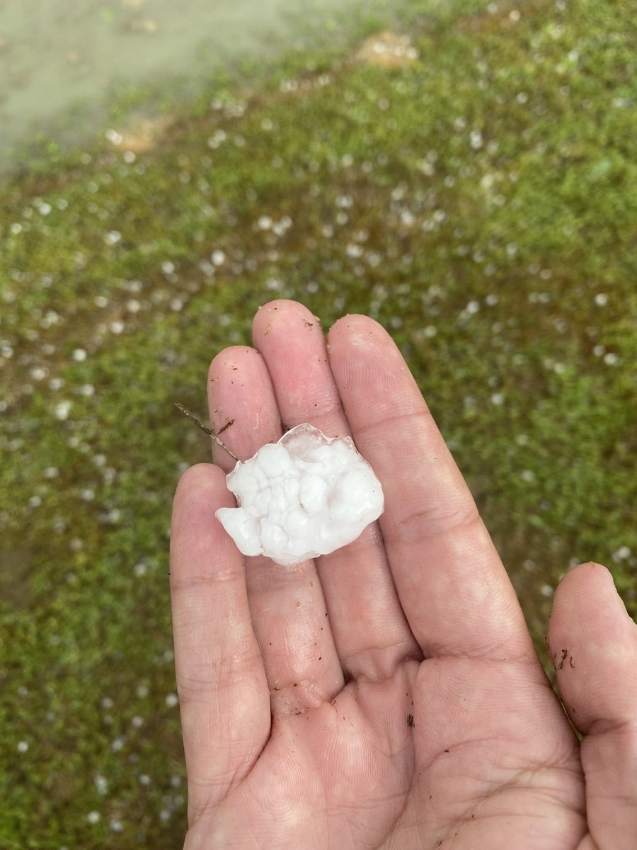 AStrayer20's tweet photo. Severe thunderstorm with quarter size hail in Sharptown, Maryland https://t.co/KHMW1FH9aX