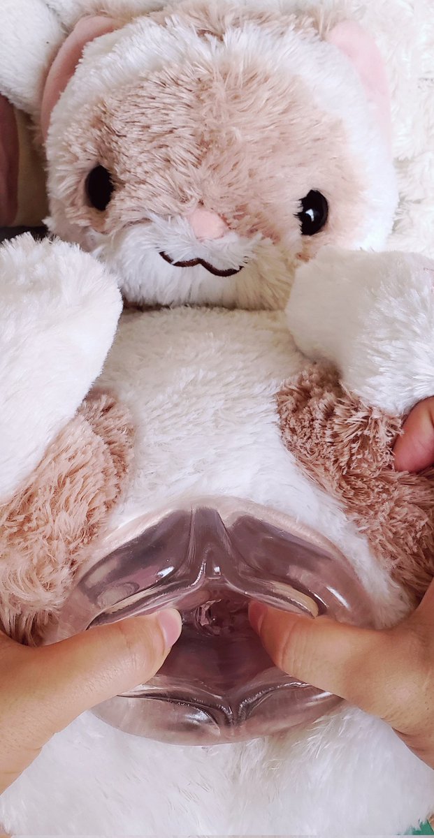 Plush_Shibe's tweet photo. New toy for Ferret https://t.co/NIwxdGUHFY