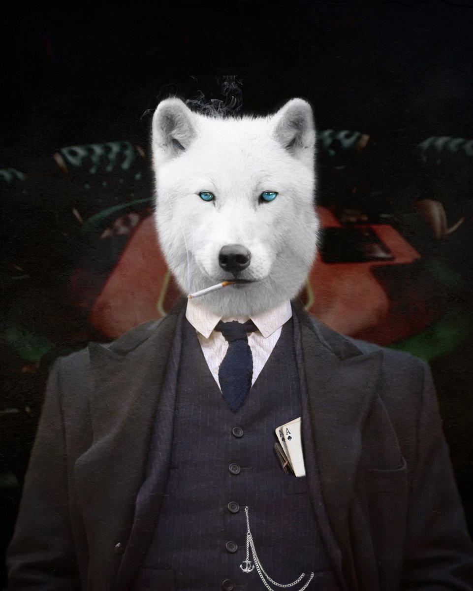 K9Gangstas's tweet photo. Only one more Peaky Wolf left with the poker background. Only 5/100 were minted. To top it off he also has a wad of cash and cheating aces for the table.
Be quick buy him here👇
https://t.co/d16xVJ8yEV
#peakywolves #k9gangstas #nft #NFTs #NFTdrop #XRPL #Wolfpack #beyourinnerwolf https://t.co/1A5r62zepx
