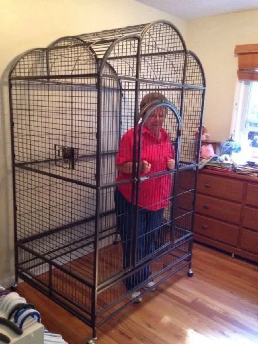 Grandma doesn’t get out until the #FenixCollection is announced.