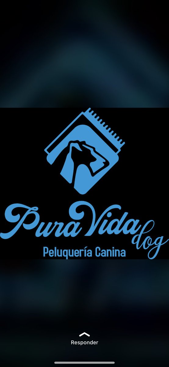 mi madre está pelando perritos en casa porque todavía no puede abrirse una peluquería canina si os interesa ya sabeissss 649844332 y si podéis difundir porfi🥹🥹🙏🏻🙏🏻