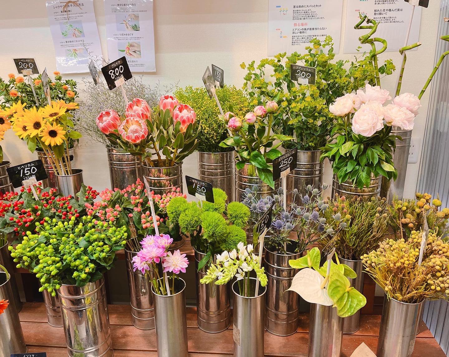 黒沢生花店 今日の花揃え 母の日終わりでなぜか菊類が高騰しています 菊類が品薄になるかもしれません 申し訳ありません 尼崎市 立花駅 花屋 立花商店街 立花 黒沢生花店 生花 切り花 枝物 葉物 お花屋さん お花のある暮らし 花束