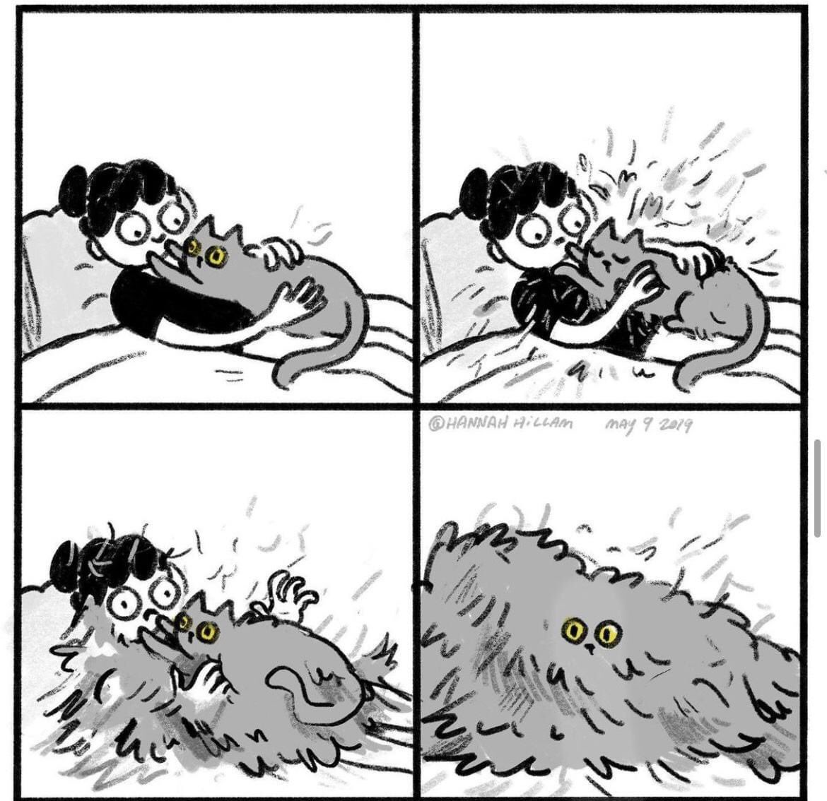 ThePhilosopurr's tweet photo. It’s shedding season….
#Cats #RelatableCatTweets https://t.co/hhxHlEoV8c