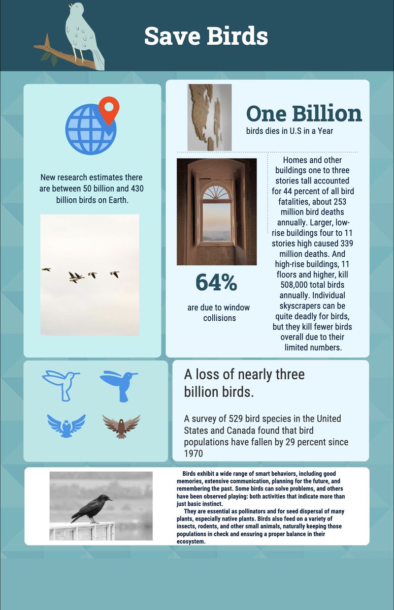 letiay1's tweet photo. My Infographic about Birds
#39animals https://t.co/yJe8FO4GIe