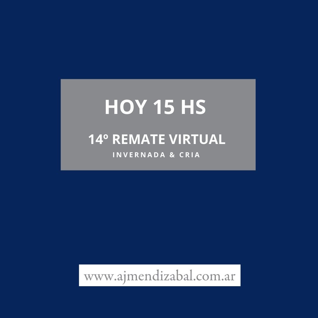 ajmendizabal's tweet photo. Hoy 15 hs
14º 𝗥𝗘𝗠𝗔𝗧𝗘 𝗩𝗜𝗥𝗧𝗨𝗔𝗟 
INVERNADA &amp; CRÍA.

Miralo por   👉https://t.co/tzxqDLCrJh 
...
#AJMendizabal #remates #rematevirtual #hacienda #invernada #cría https://t.co/3QzfZytSCT