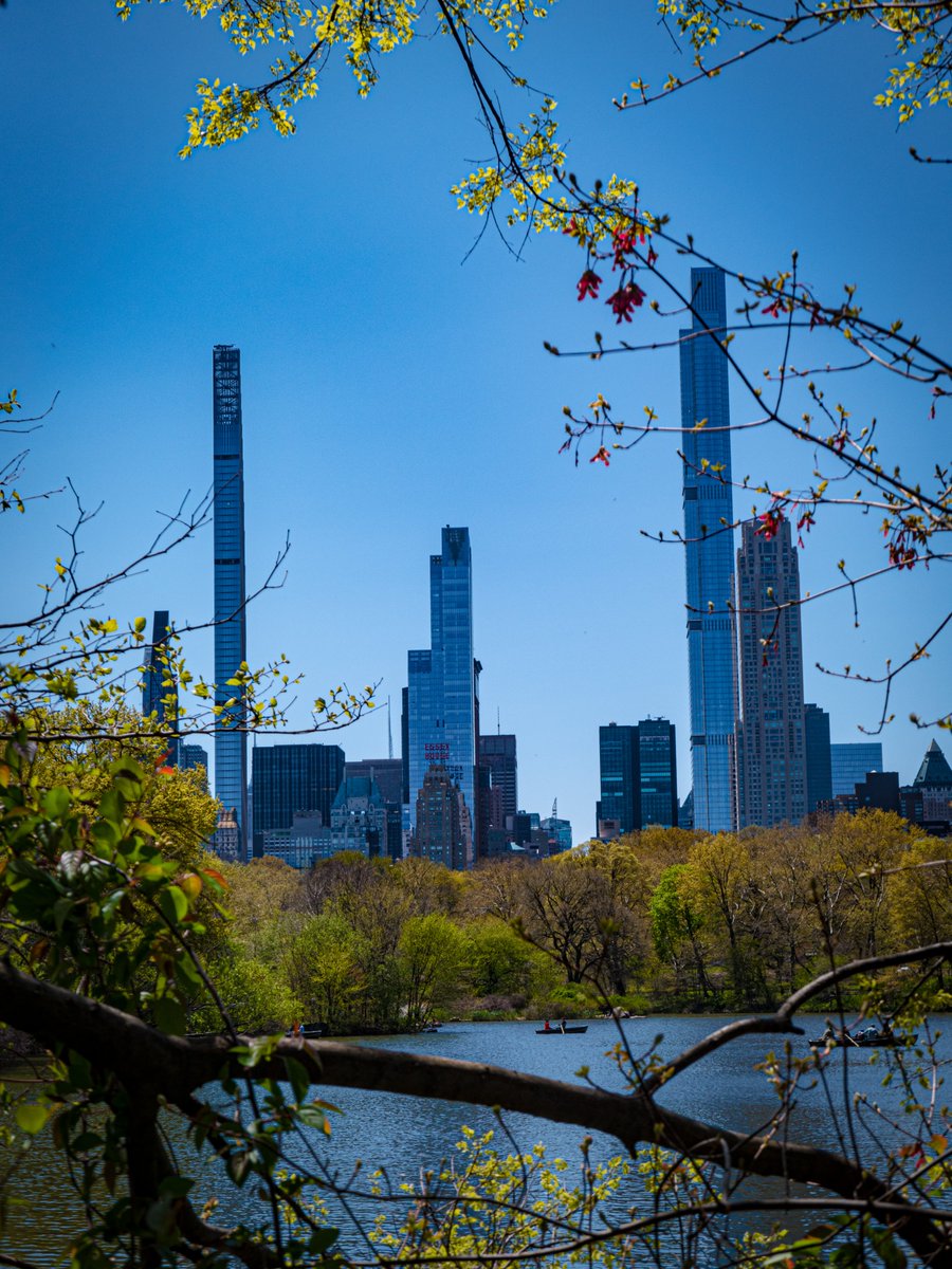_MrTimo_'s tweet photo. 📍Central Park, New-York, USA - Portrait Edition https://t.co/N7RwzsYSiI