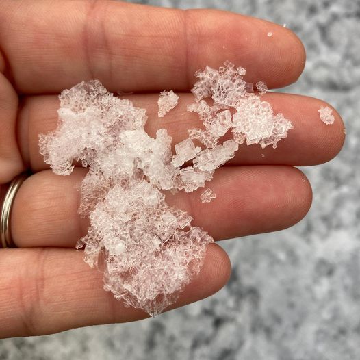 CapeMaySeaSalt's tweet photo. Rooting for you all!!See you at the Farm Markets!☀️🌊🧂#wesellseasaltdownbytheseashore #localfarm #saltedhoney #saltedpeanutbutter #saltsoak #saltbar #saltsoaps https://t.co/m8DWgWpVDz