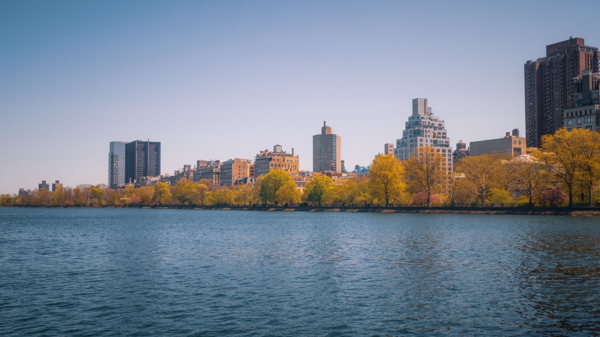 _MrTimo_'s tweet photo. 📍Central Park, New-York, USA - Landscape edition https://t.co/ktkUndAtqo