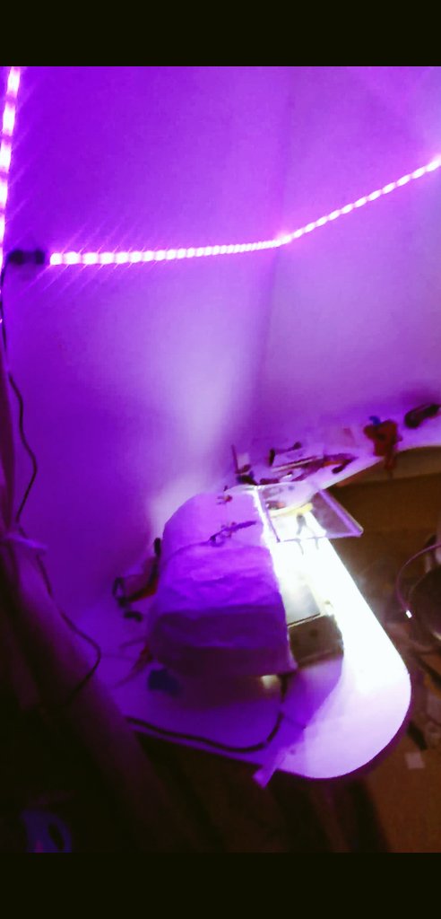 joncampling's tweet photo. Welcome to my #Deatheater #WANDWORKSHOP 2.0
The makeover is complete π
Yay. Including fancy new lighting πΊ
#DiscoWizard
#WiseWizard
#ArtWizard
See you all this weekend @DublinWizardCon https://t.co/wfp4A4348n