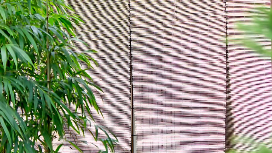 氷の朔日 Twitter Search Twitter