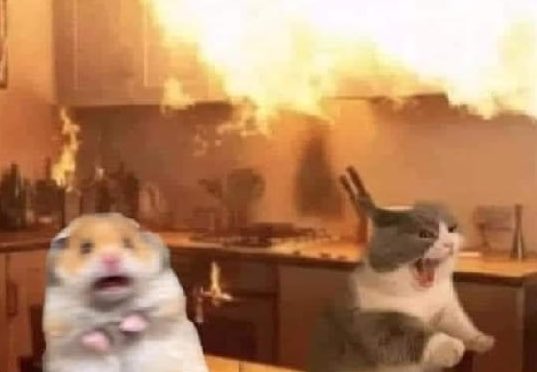 El tutorial: Y para finalizar agregamos una pizca de sal.

Mi amiga y yo: